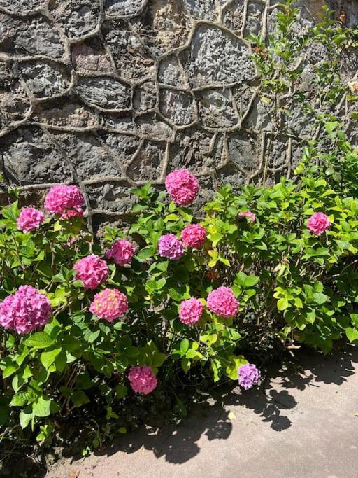 La Casona De La Carbayeda Villa Oviedo Eksteriør billede