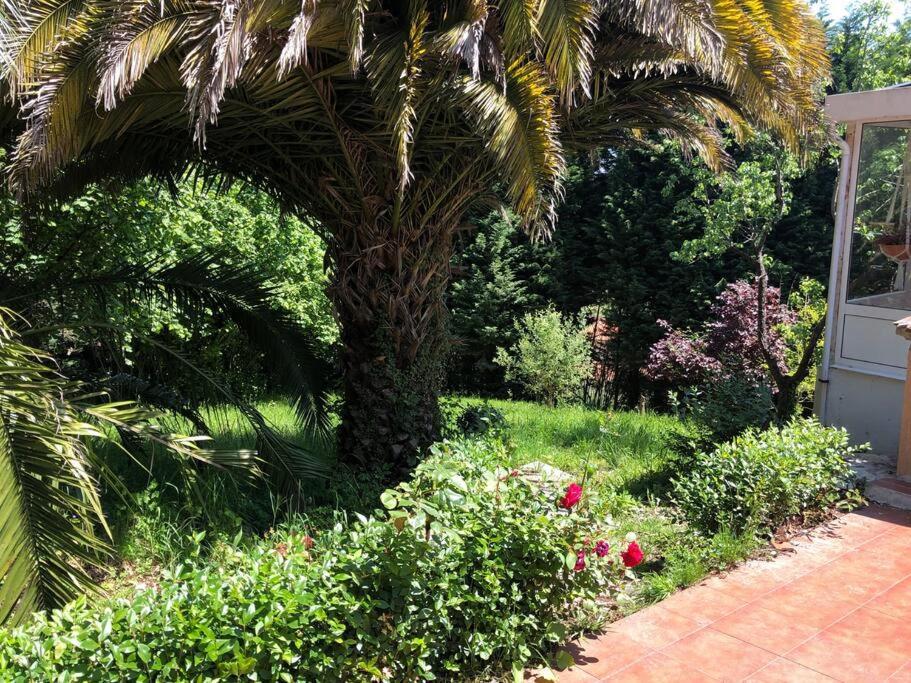 La Casona De La Carbayeda Villa Oviedo Eksteriør billede